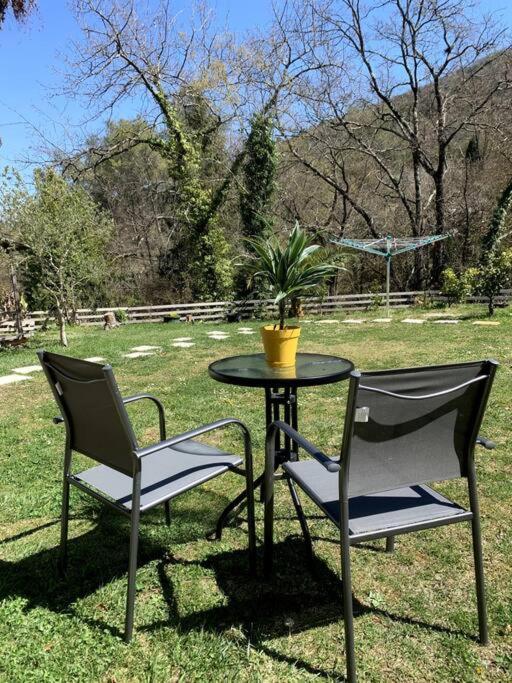 Studio Calme Et Agreable Avec Acces Jardin Partage Le Bar-sur-Loup Buitenkant foto
